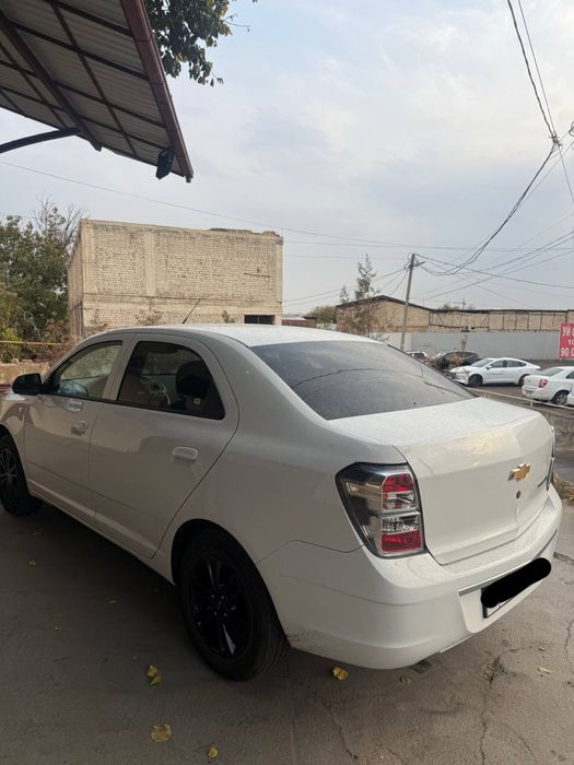 Cobalt midnight 2025