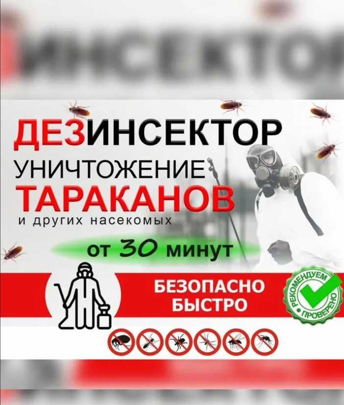от 250 000 сум Уничтожение тараканов и клопов. Результат 100%