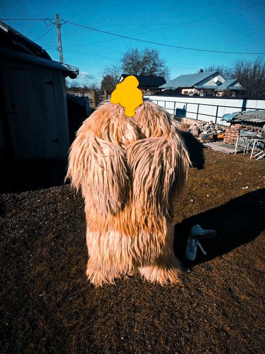 Vând costum pentru anul nou