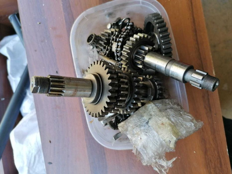 Motor Bashan 300