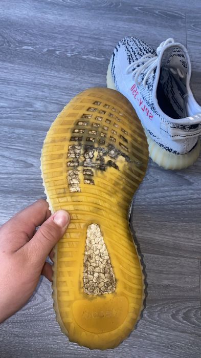 yeezy 350 zebra puratati