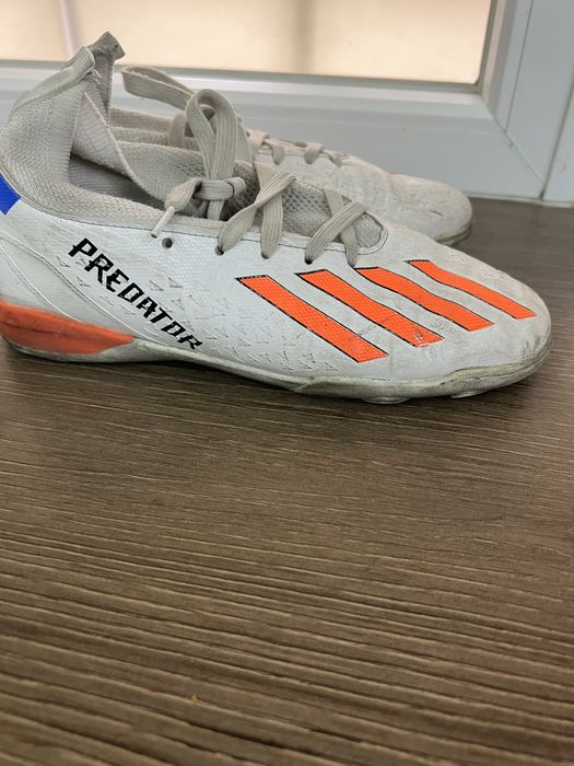 Отдам даром сороконожки для мальчика