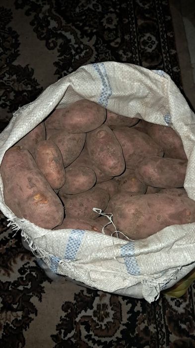 Домашняя картошка