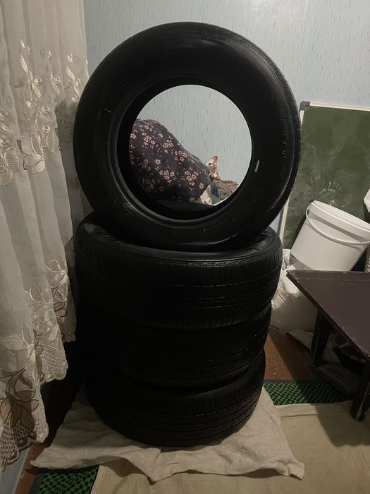 Balon Grenlander  Colo 205 65 R15 Kelishamiz