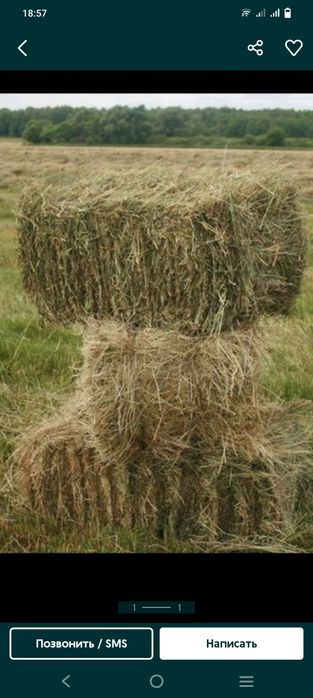 Продам сено 1500
