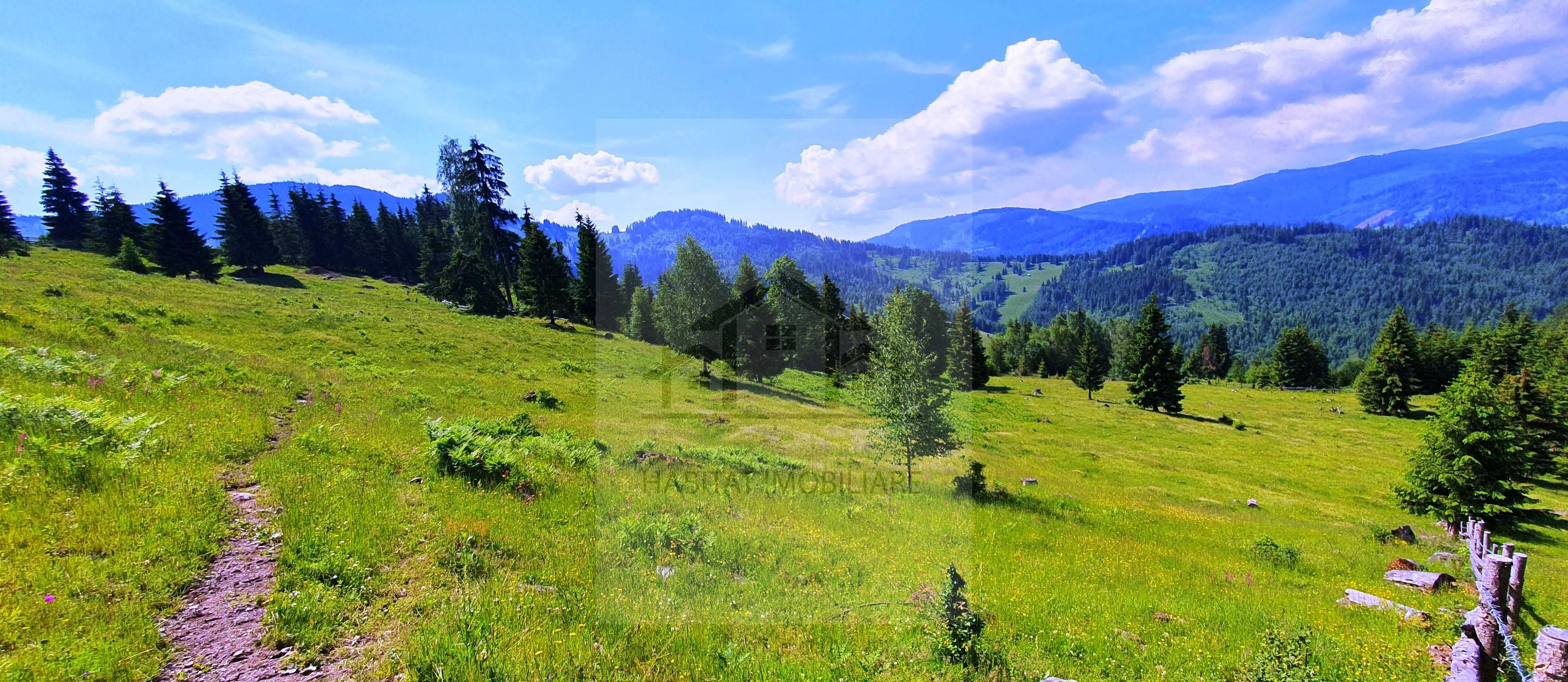 De vanzare teren situat in PANACI, sat COVERCA