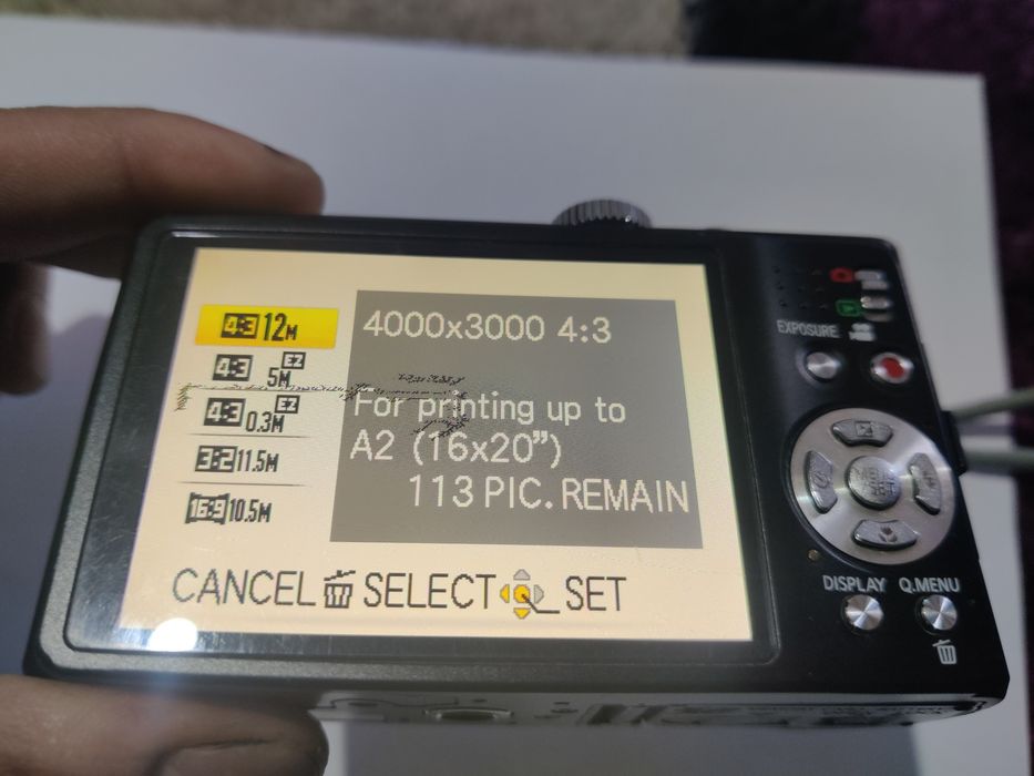 Panasonic Lumix DMC-TZ10