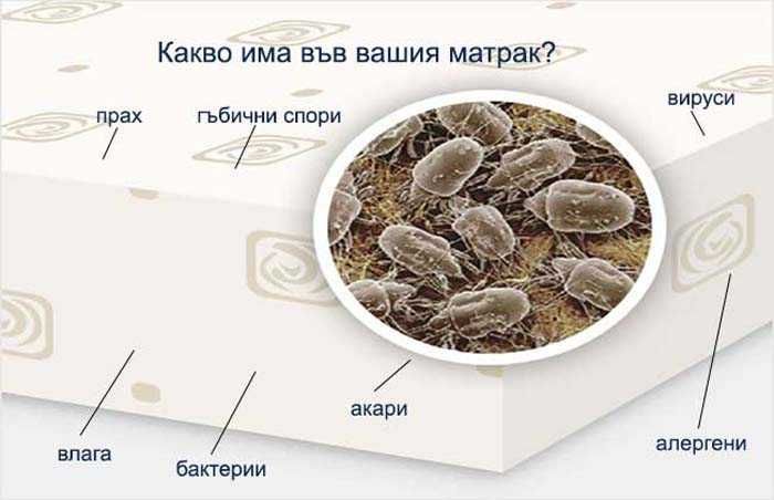 Професионално почистване чистим всичко само попитай FavoriteClean