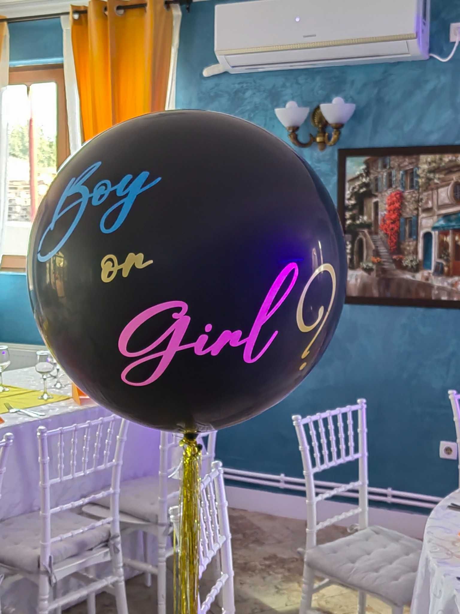 Arcada baloane Gender Reveal *Arcada balone Boy or Girl*Baiat sau Fata