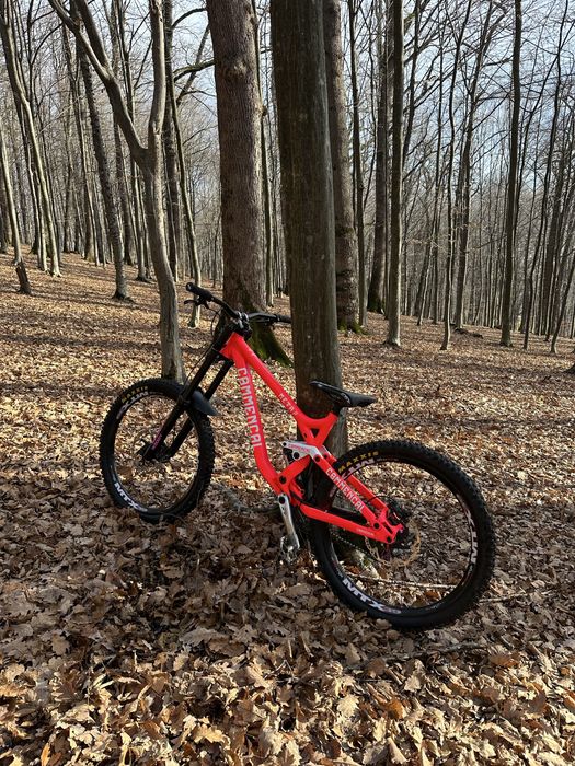Vand commencal dh v3(custom) urgent‼️