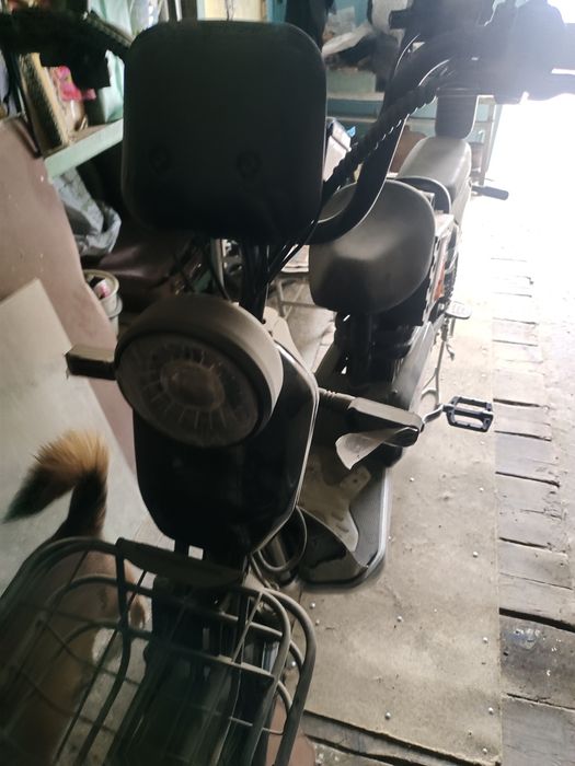 Electrovelosioed