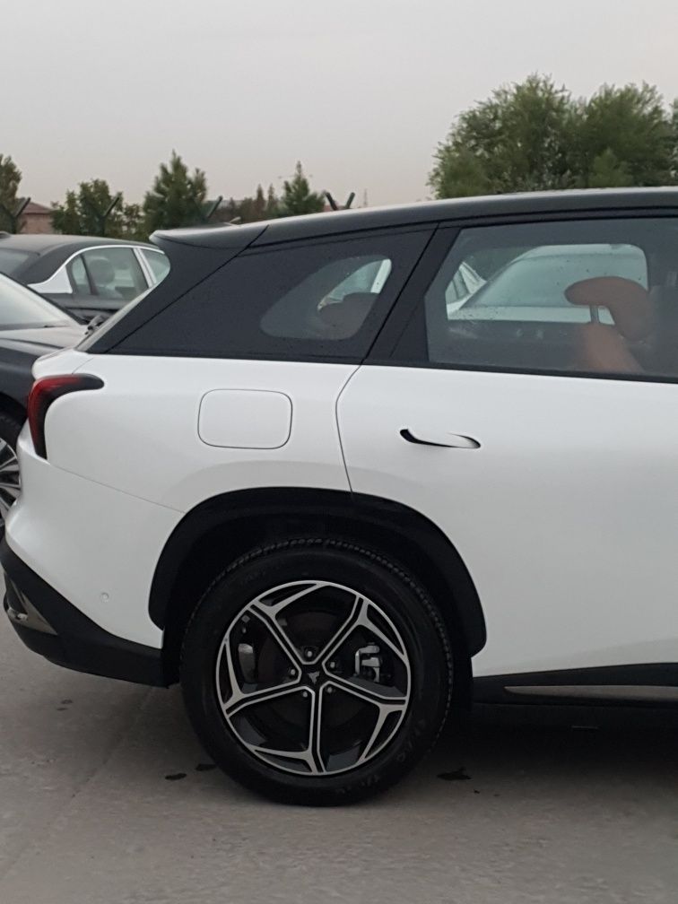 Neta L. Hybrid.2024. RWD.