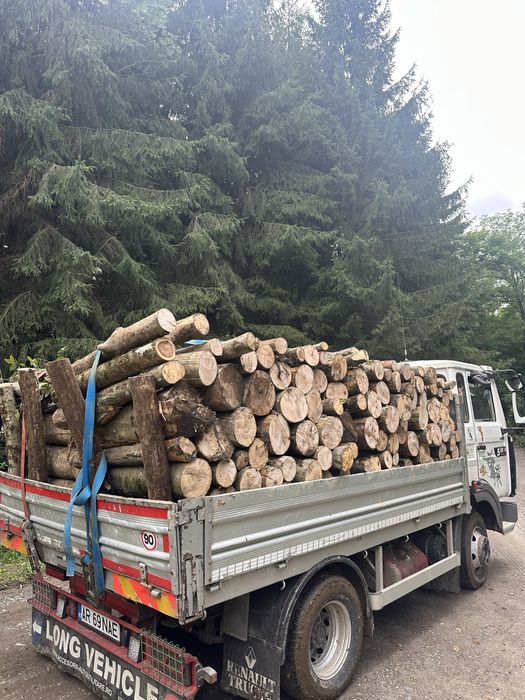 Lemne de foc esenta tare