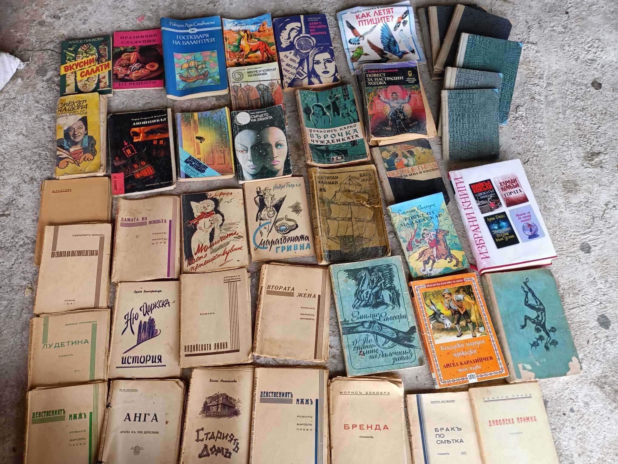 Запазени книги, романи