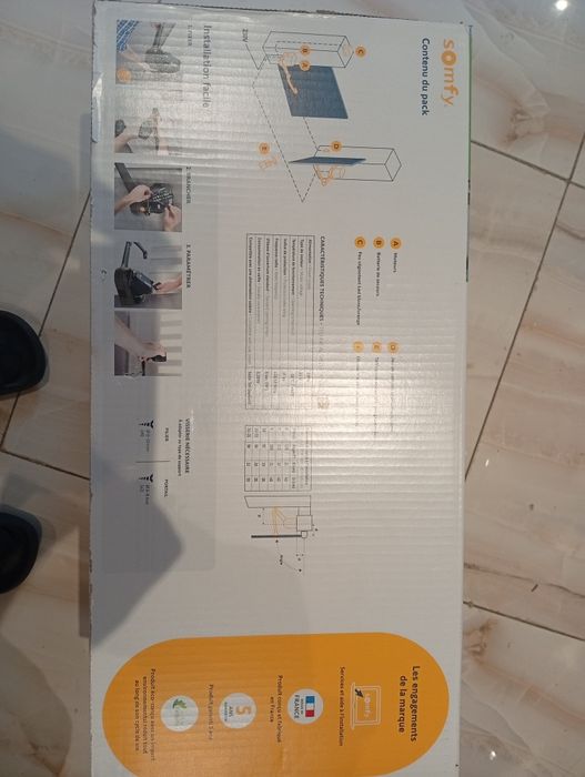 Automatizare poarta batanta Somfy