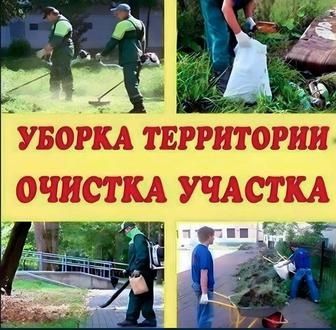 шоп жулу шар бак жинау
