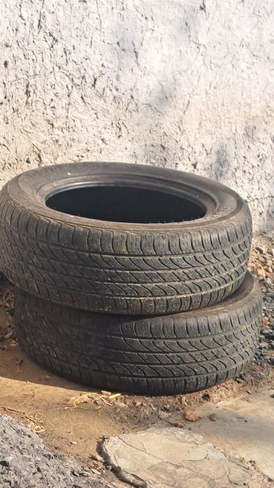 R15 Razmerdagi Demeter yumshoq balon sotiladi