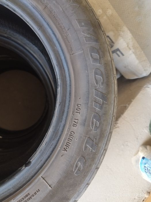 Б/у 13 балон Мачете 4 таси 250 минг сум, юмшок.