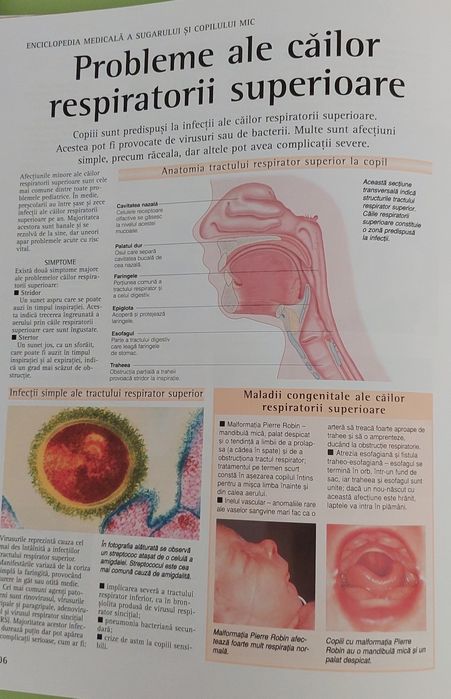 Enciclopedia medicala a sugarului si copilul mic