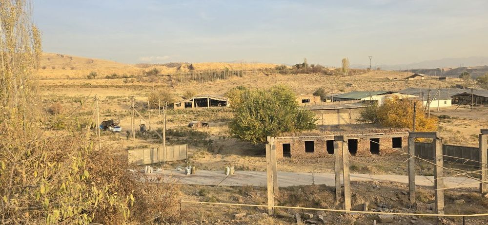 Паркент. Ферма КРС. 15 га. Доимий.