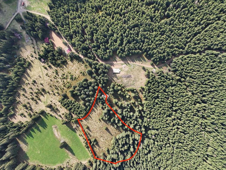 Teren Intravilan Marisel  - ideal pentru cabane sau glamping