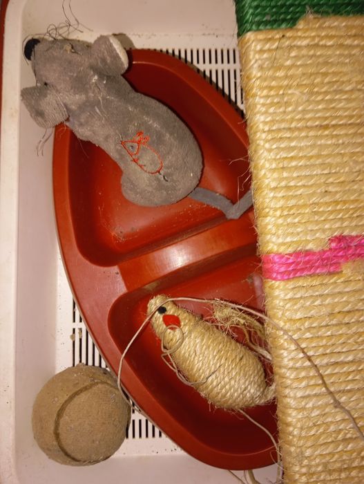 Зоо товары: всё для кошки: лоток, посуда  для корма,  игрушки и когтеч