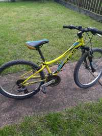 Montain bike ALPINA rockstar 30