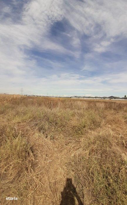 Loturi de teren! Ideal pentru constructie! Clinceni str.Drumul Mare