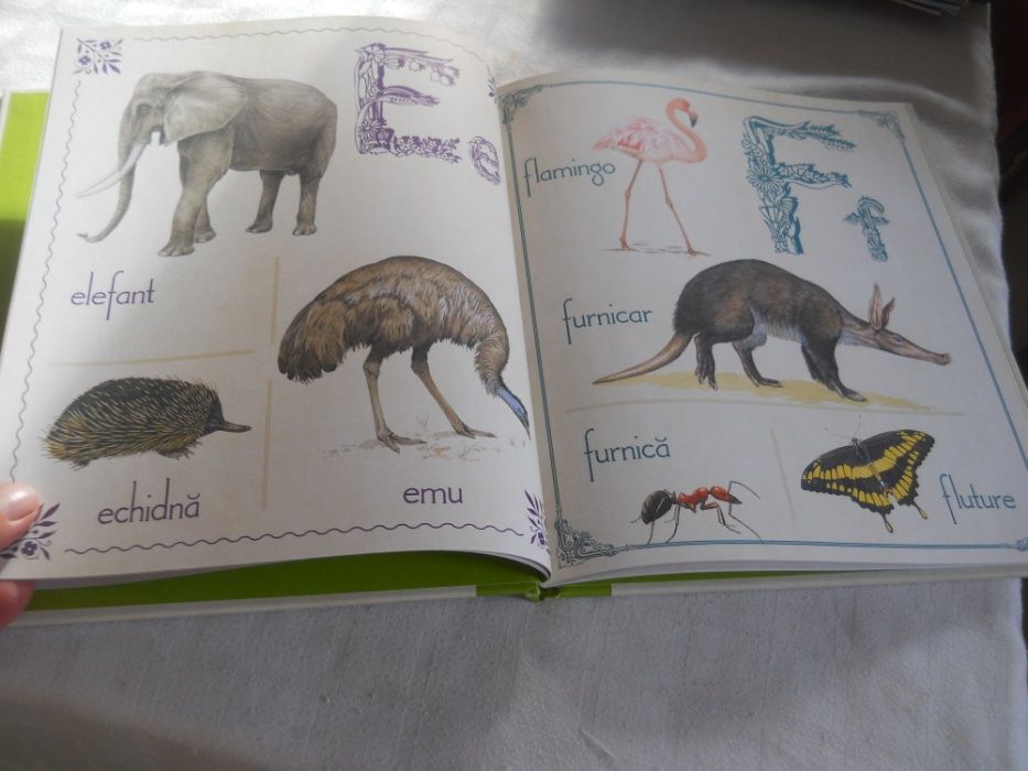 Alfabetul Cu Animale, ed. Girasol, Noua, cartonata,2014