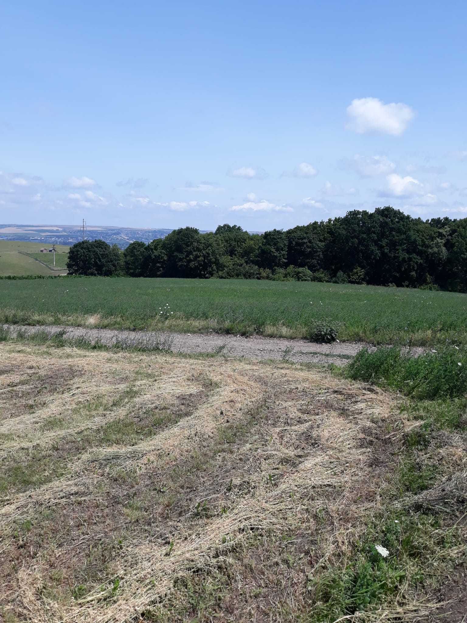 Vand teren 39 ari zona Redi Ipotesti