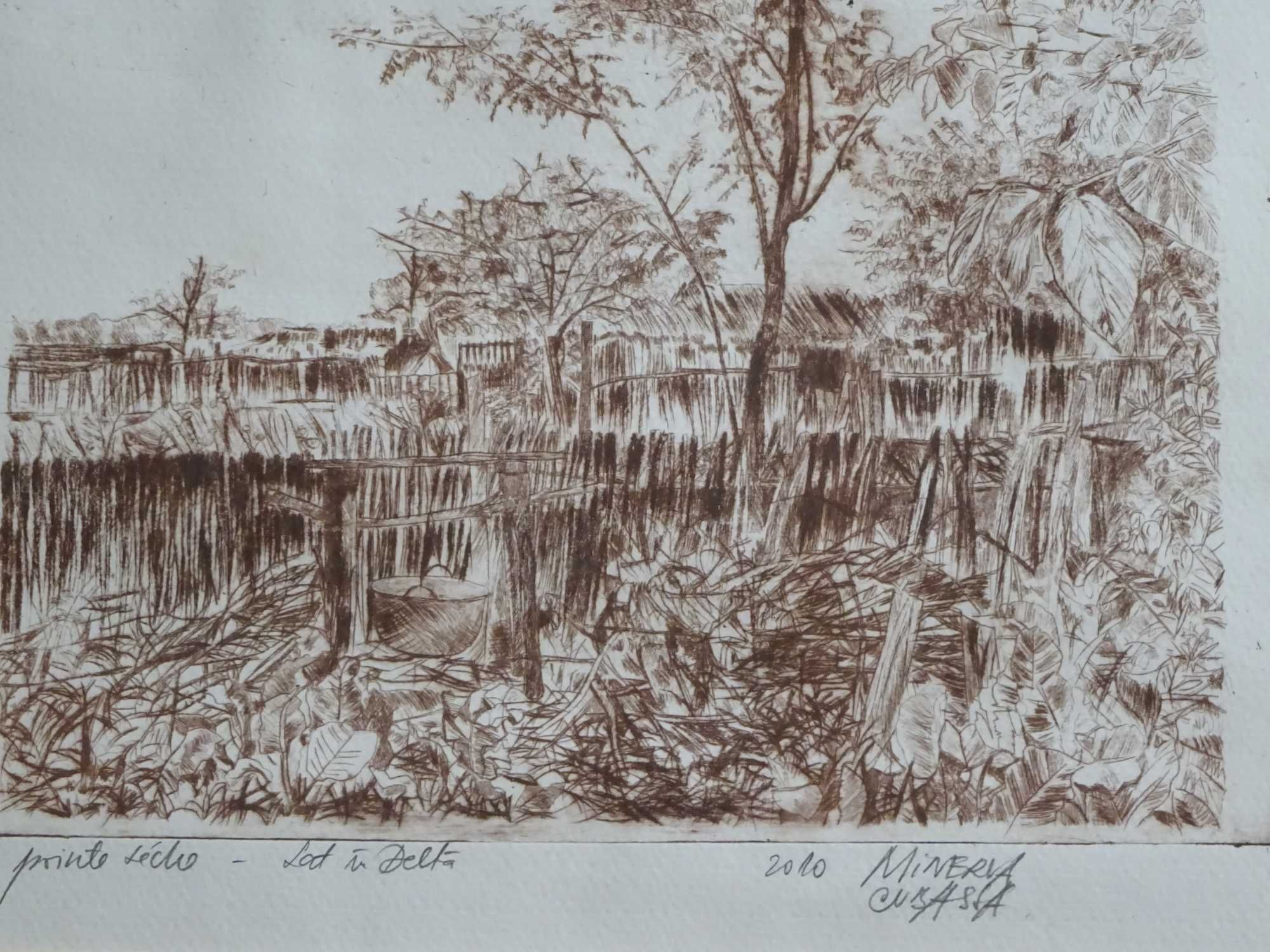 Gravura Minerva Cubassa, ‘Sat in Delta’, Exemplar de autor