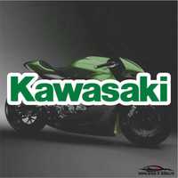 Kawasaki-Model 1-Stickere Moto