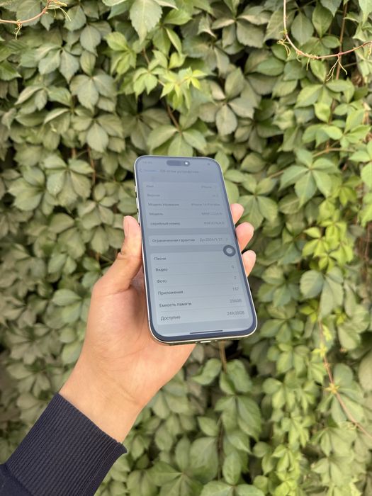 iPhone 16 Pro Max Ideal