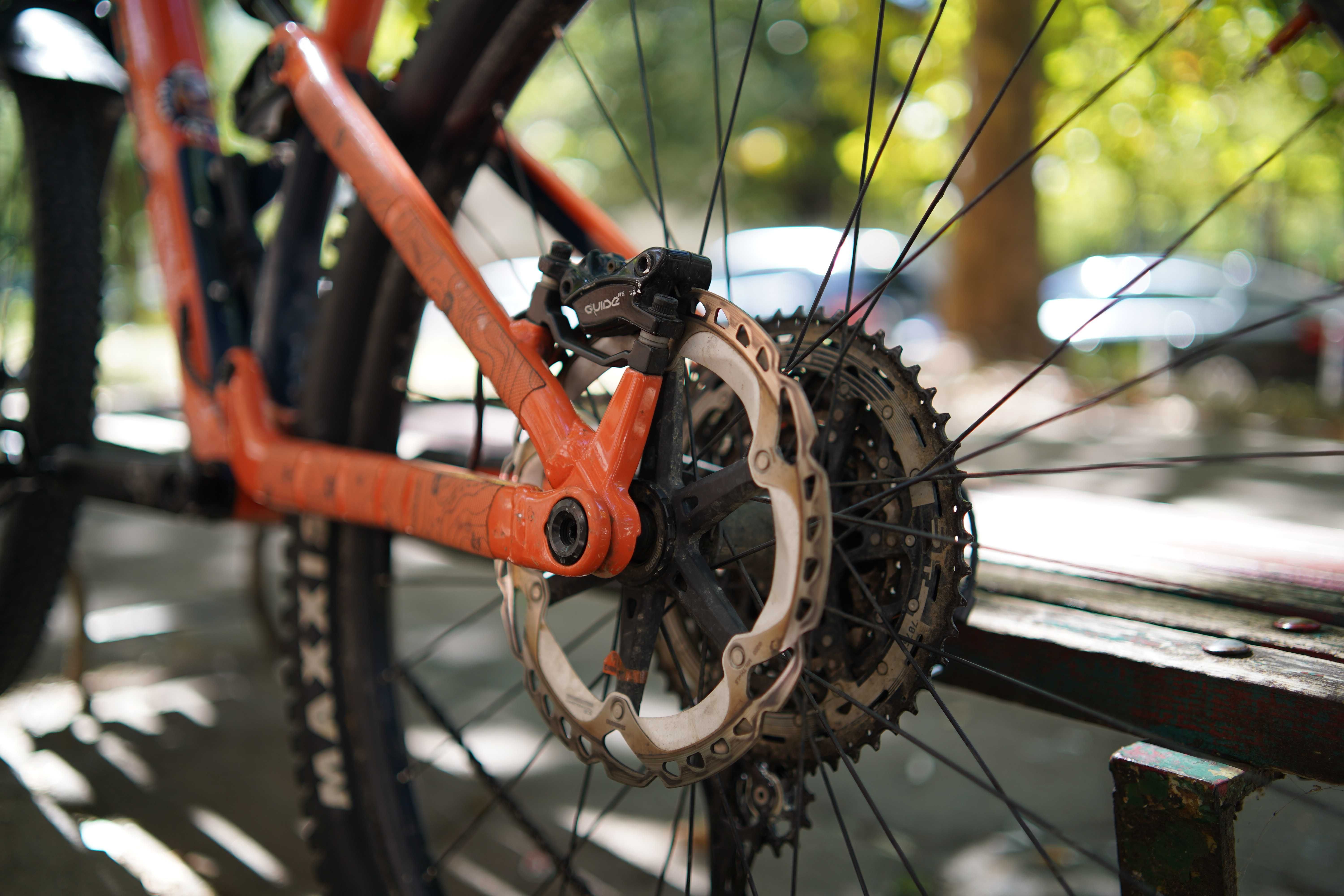 Orbea Occam 2021