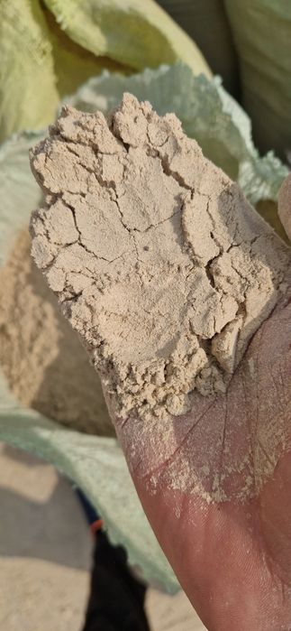 Sholi po'chogini un Holata chiqarilgani bor