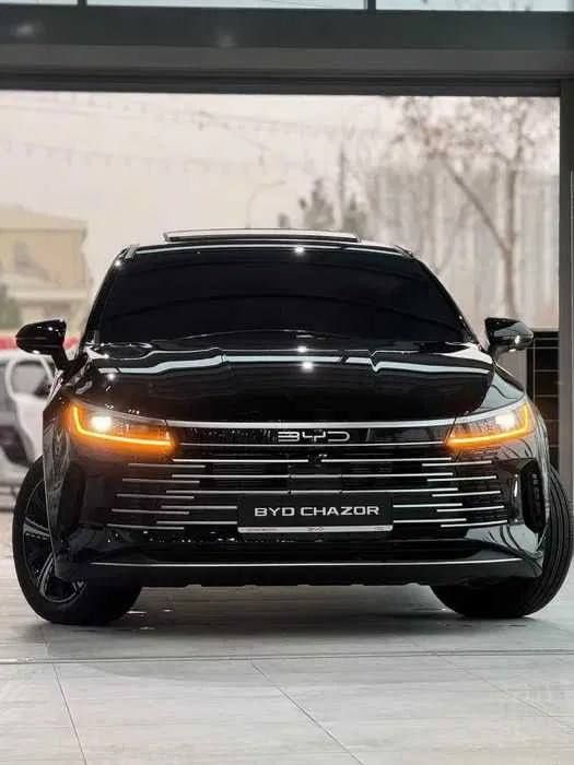 Byd Chazor rassrochkaga