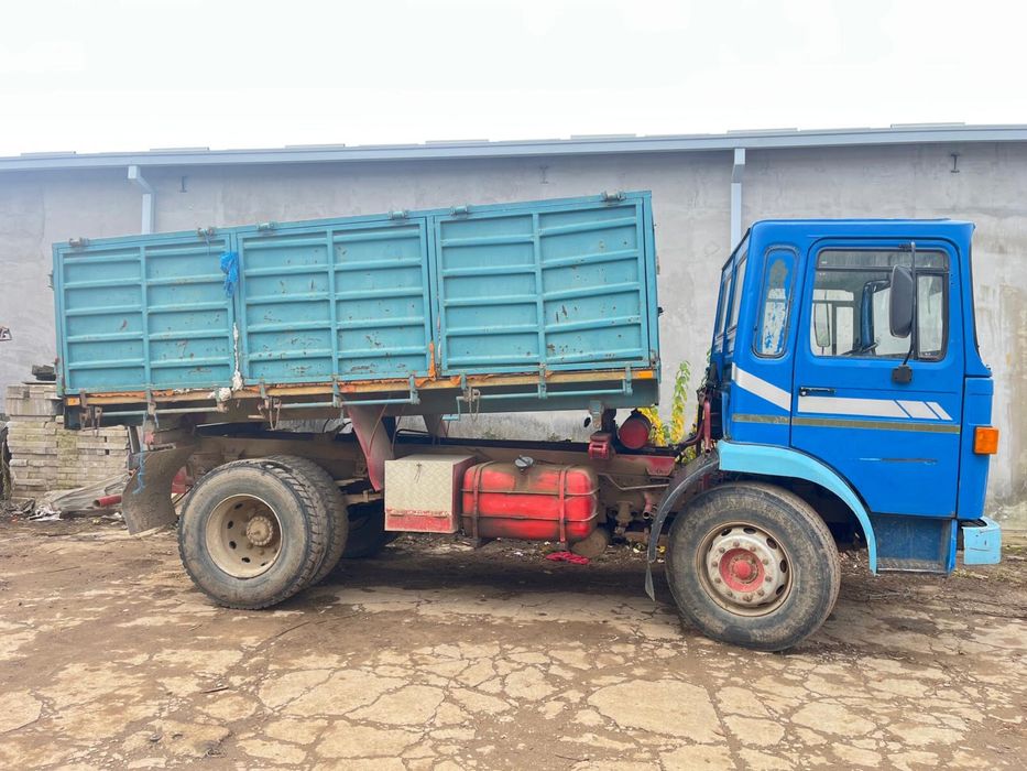 Autobasculanta Roman