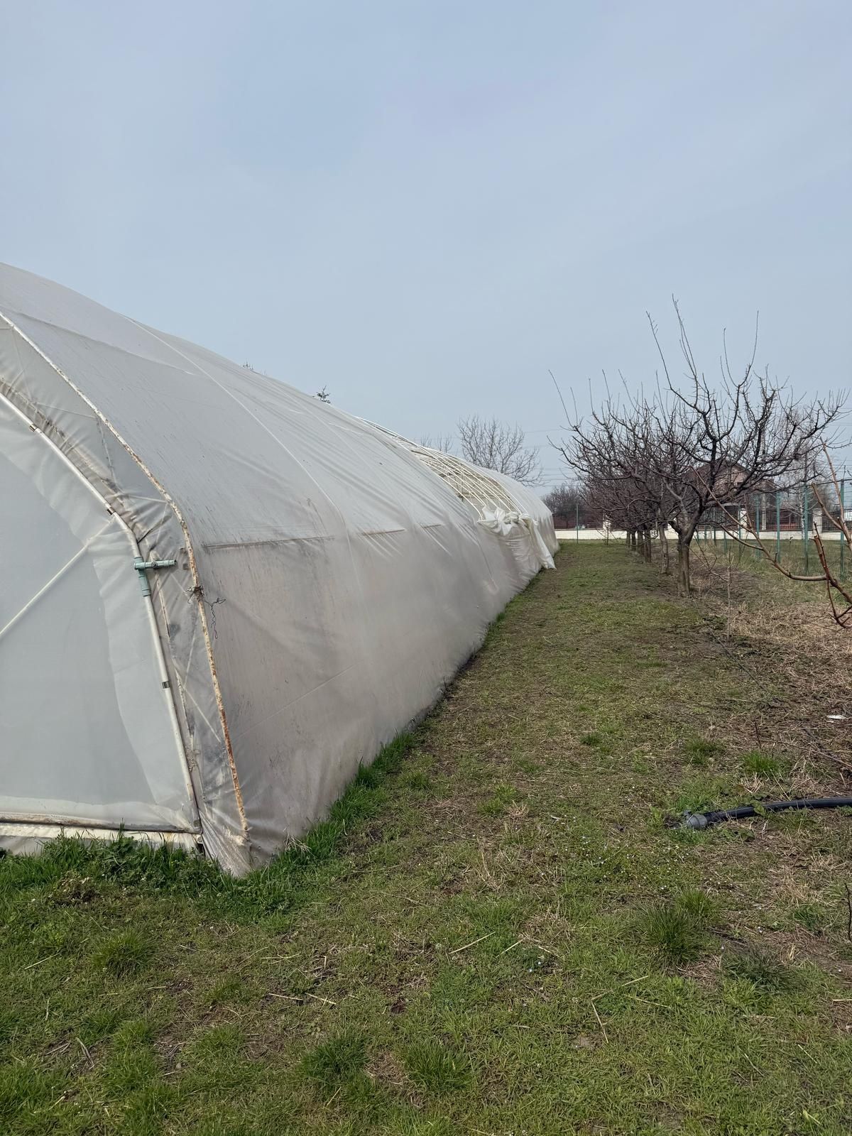 Solar cu folie dublă 30x8 m cu 3.30m inaltime