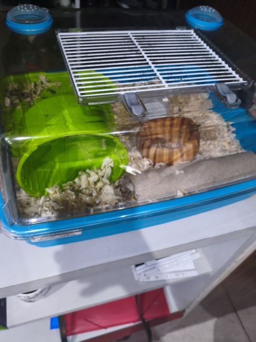 Donez hamsteri  cu cusca