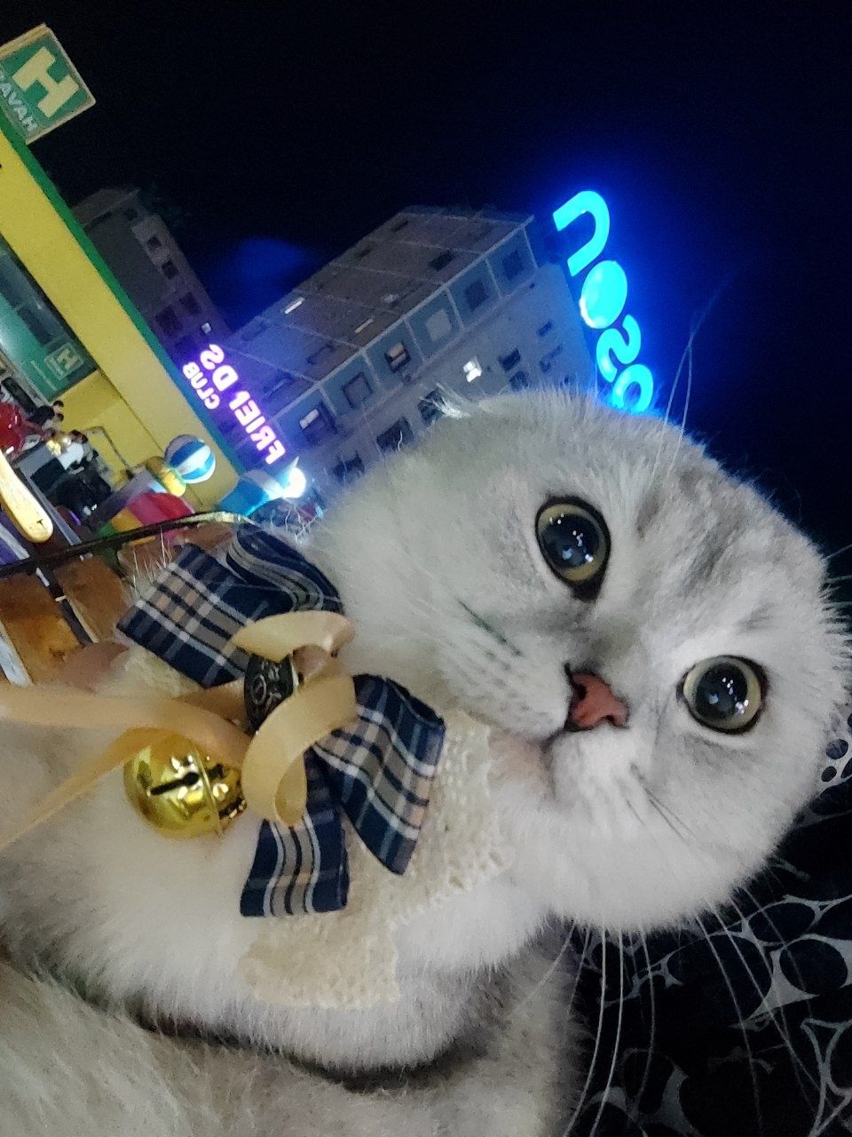 Vyaskaga taklif qilamiz, sotilmaydi