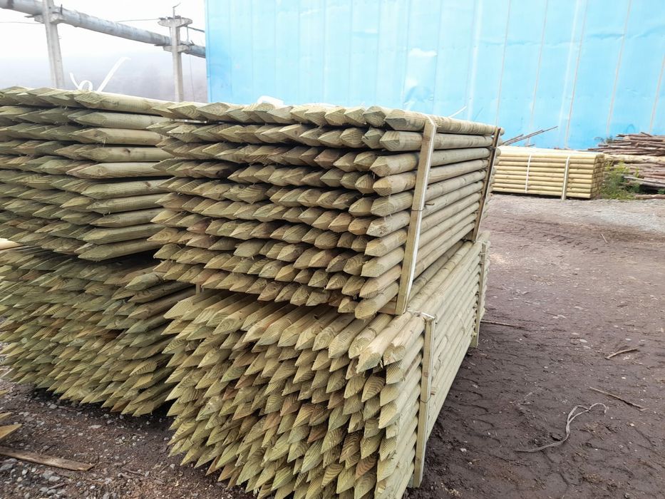 Tutori pt protectie pomi impotriva rasturnarii de vant