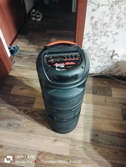 БТ колонка 60ватт