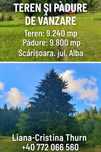 Teren intravilan + pădure de vânzare – Scărișoara, jud. Alba – 15€/mp