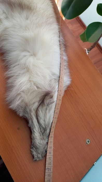 Caciula si Guler -Set - blana NATURALA - se vand separat sau impreuna