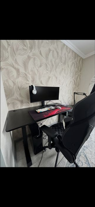 Монитор для игр и для работы