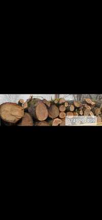 Vând lemne din esenta tare pentru foc