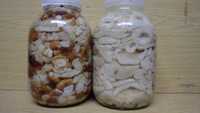 грибы соленые грузди и валуи
