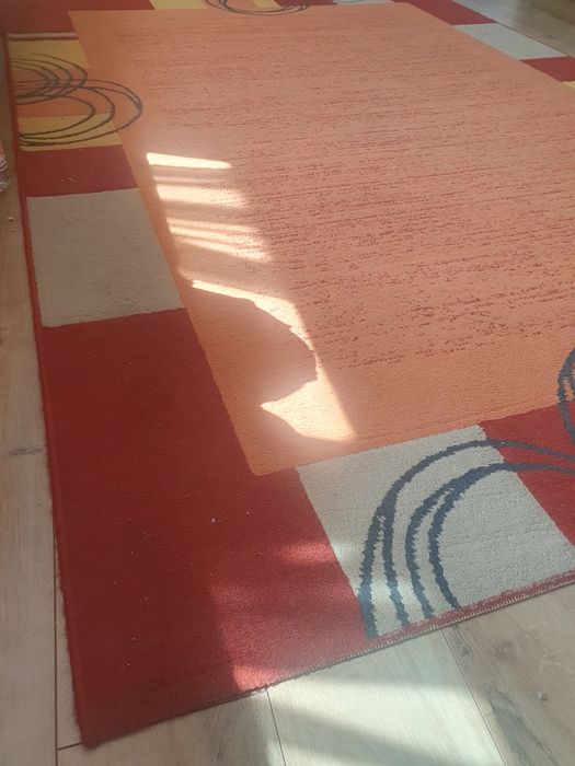 Covor stare foarte bună 1.6x2.3