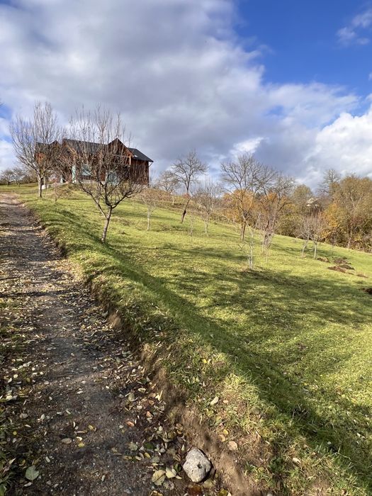Vand casa cu teren 8000 m2 Sighetu Marmatiei - Campu Negru