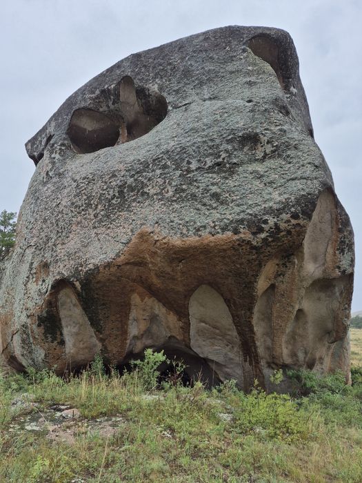 Зимовка. Қыстақ 2000га